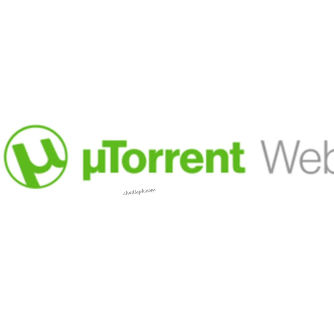 how to use torrents